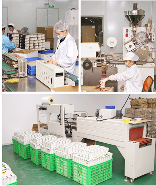 tea factory, tea processing