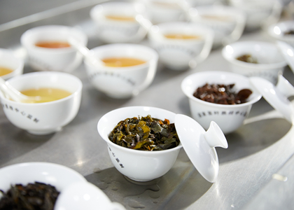 testing the samples after confirm the teas kinds