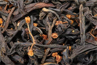chloranthus tea, black tea blended with chloranthus erectus flower for new boba recipe