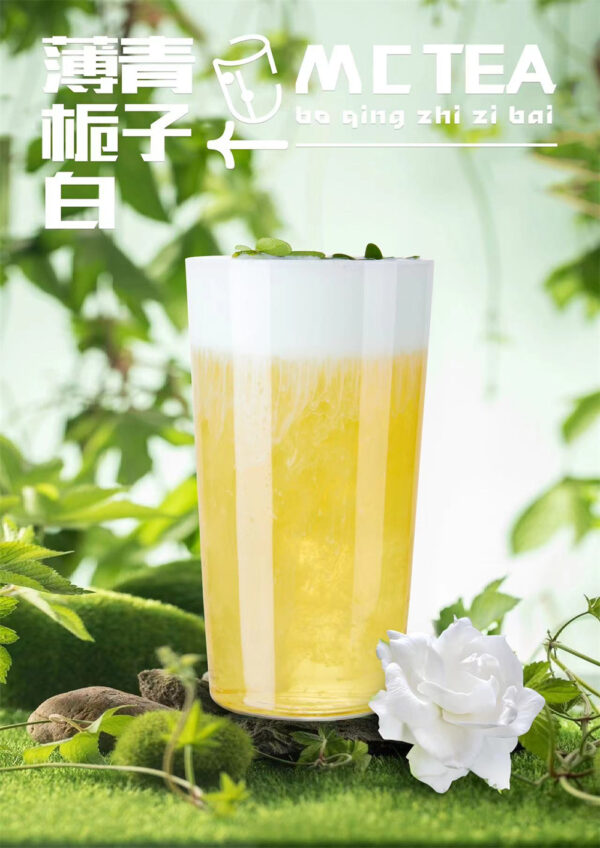 organic gardenia maojian green tea 3